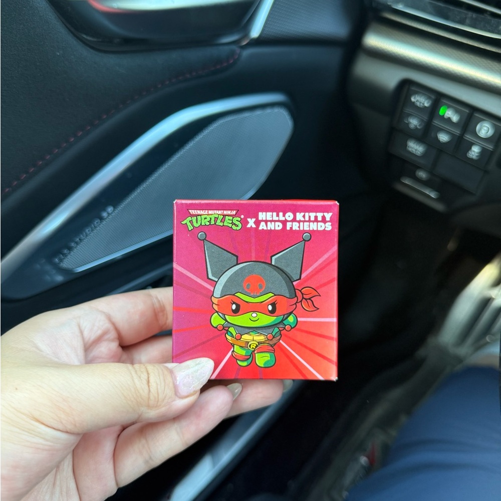 Turtles X Hello Kitty and Friends